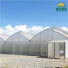 Techo de diente de sierra de invernadero tropical