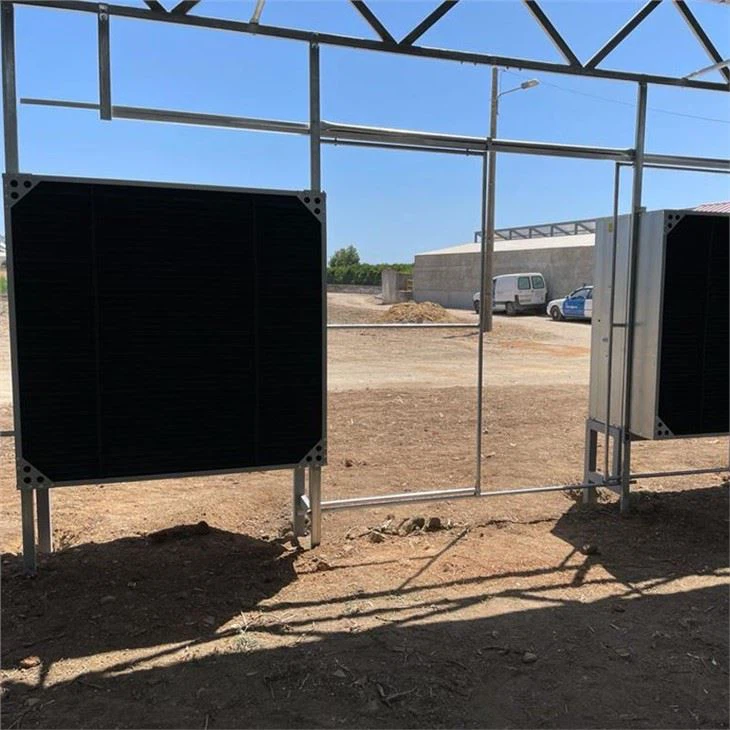 Agriculture Multi Span Mushroom Greenhouse