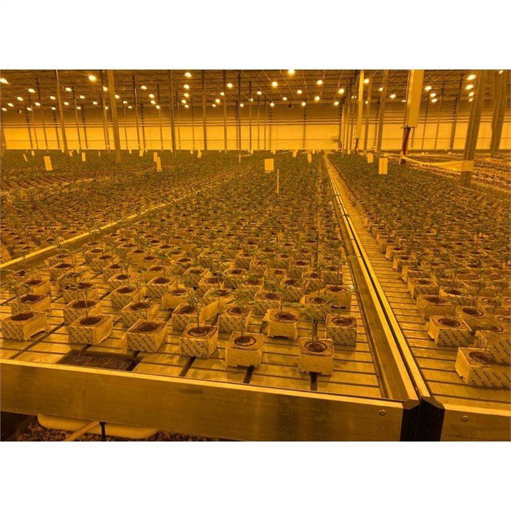 Greenhouse-Green-house-lighting-lamp