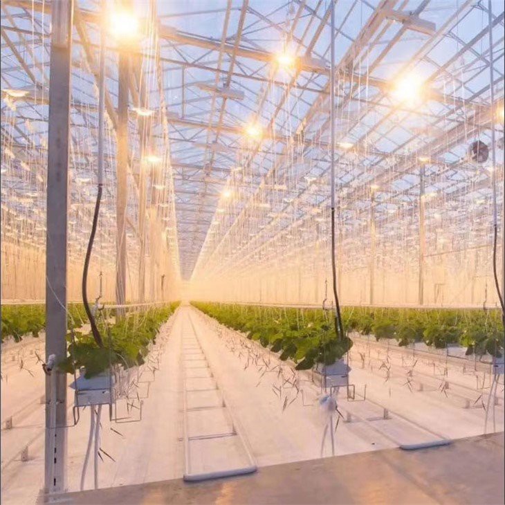 Greenhouse-supplement-light