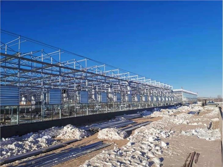 Greenhouse Steel Structure Frame Skeleton