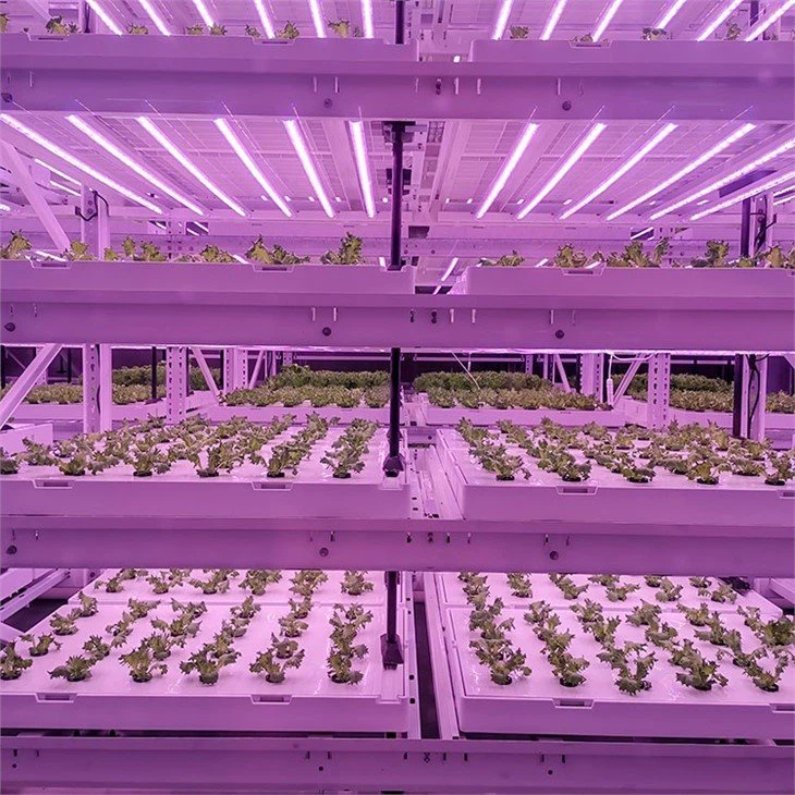 Hydroponics planting bracket