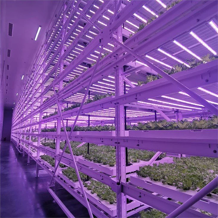 www.greenhouse-china.com