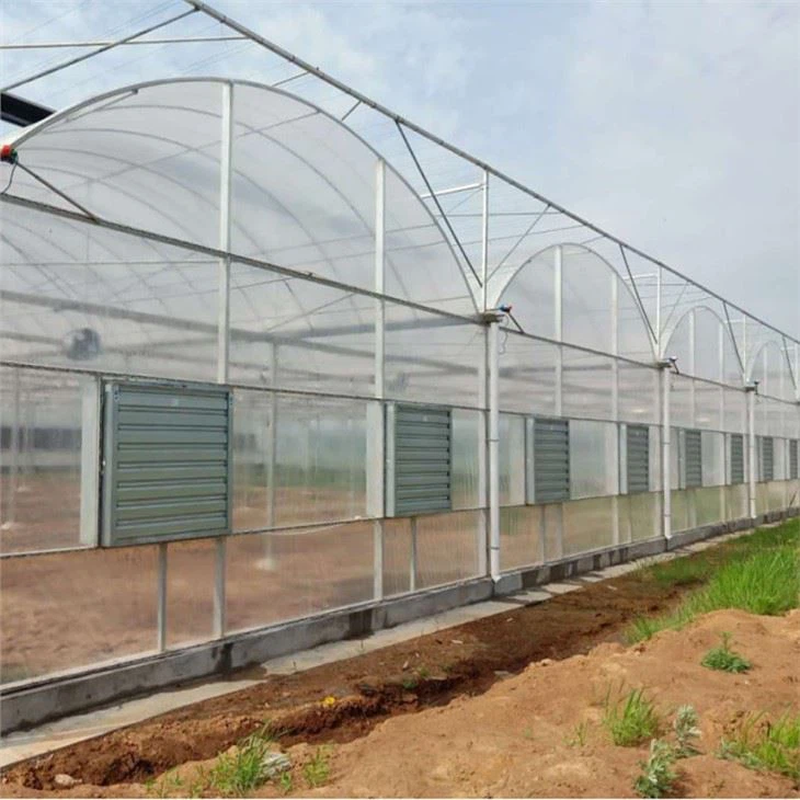 Multispan Film Greenhouse With Vertical Farming Hydroponic