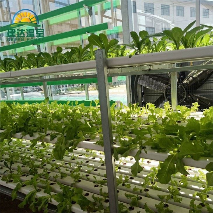 Nft System Nutrient Film Technique