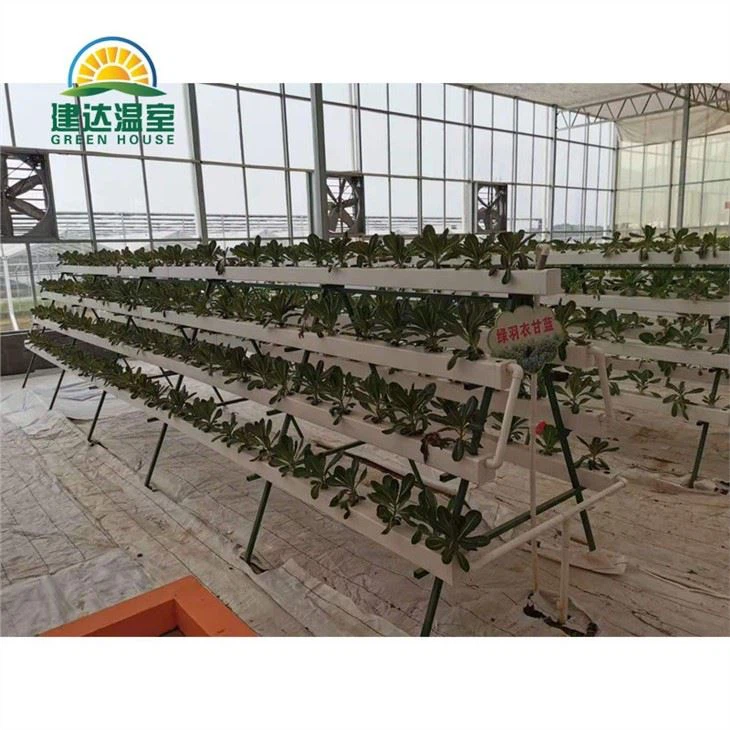 Nft System Nutrient Film Technique