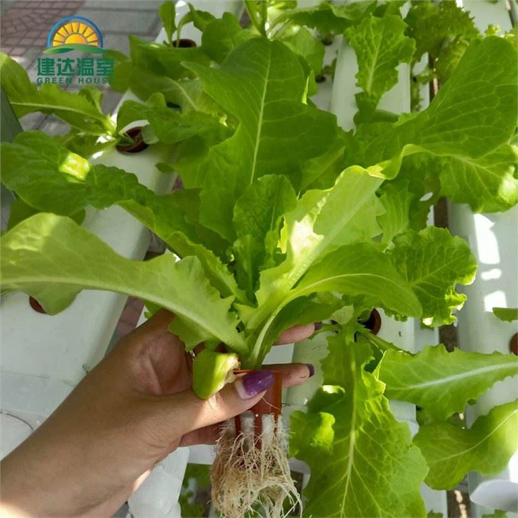 Nft System Nutrient Film Technique