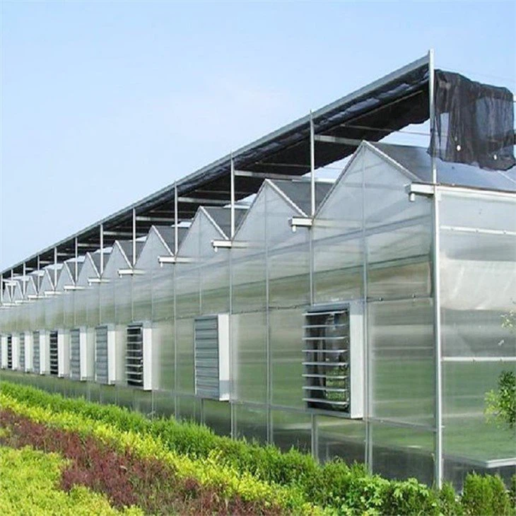 Project of Greenhouses