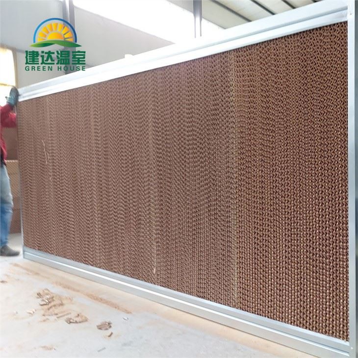 Cortina de agua con almohadilla de enfriamiento para granja avícola