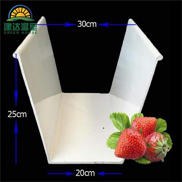 PVC Hydroponic Grown Groove Strawberry