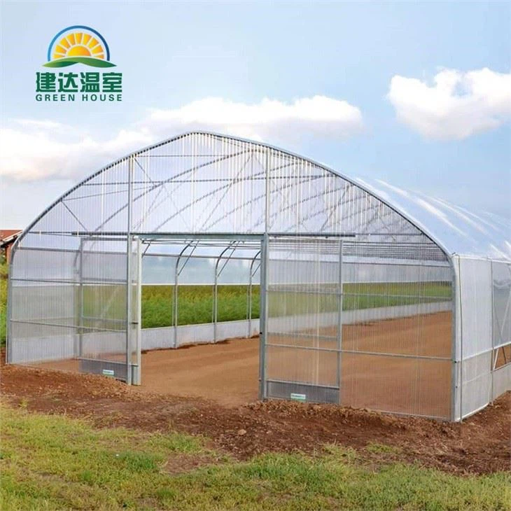 Single Tunnel Greenhouse