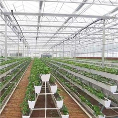 Un marco de cultivo vertical canal de plantación de canalones