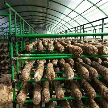 Apagón Película de privación de luz Invernadero de hongos