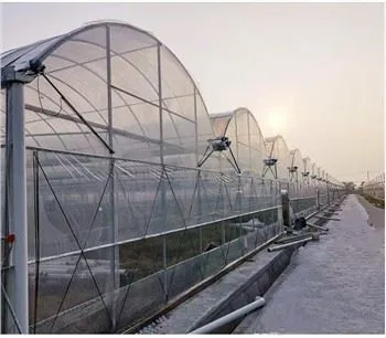 Ventilación Green House