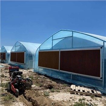 Invernadero de plantas de cáñamo de venta caliente