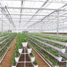 Invernadero hidropónico con canal de plantación de PVC