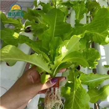 Sistema de plantación hidropónico Nft