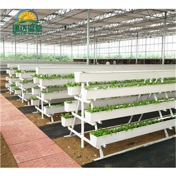 Canal de plantación de vegetales hidropónicos