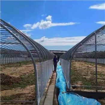 Invernadero de película Singlespan