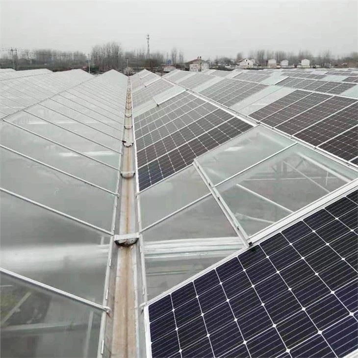 Solar Panel Greenhouse