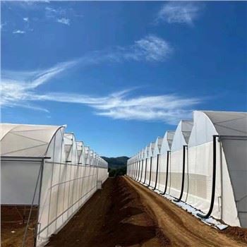 Invernadero de sistemas hidropónicos