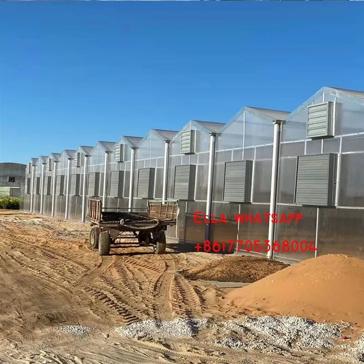Agro Greenhouses