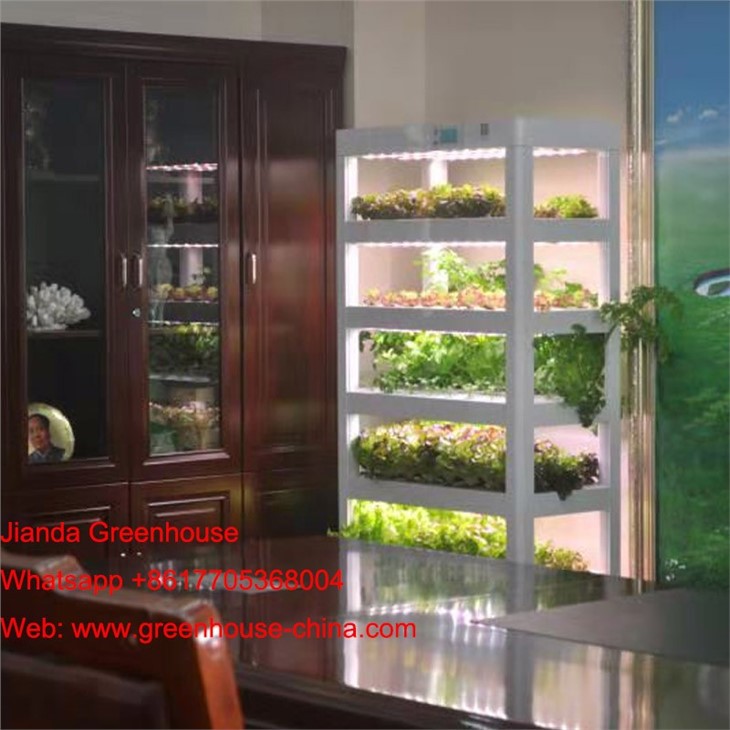 Home Hydroponic Cultivator