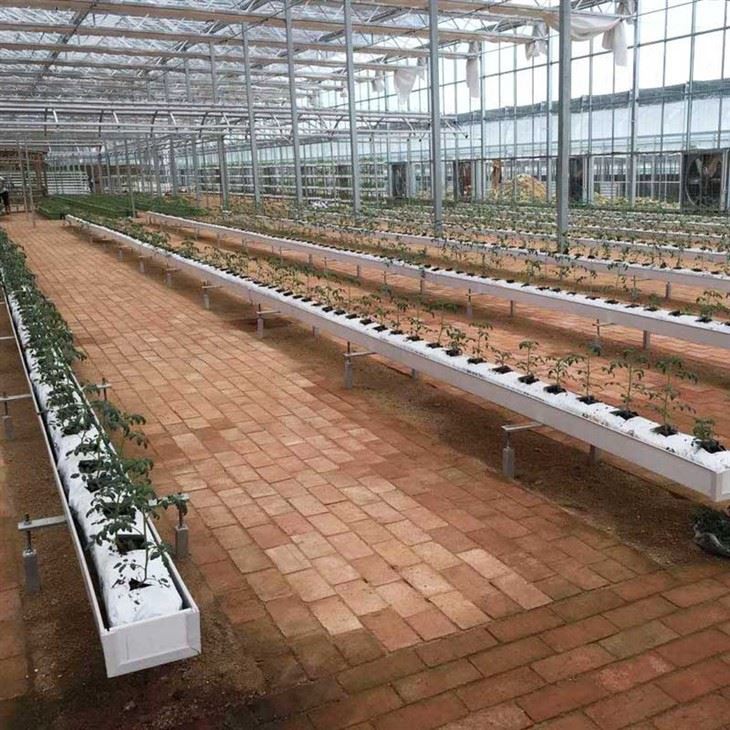 Planting Gutter Grow Trough