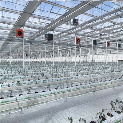 Proyecto estándar nacional e industrial agrícola y rural 2025