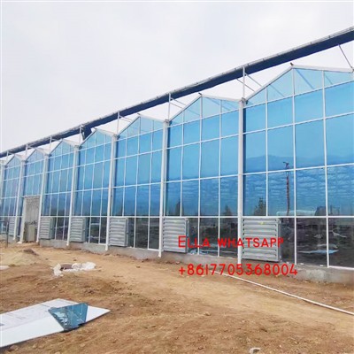 Guía para construir grandes invernaderos de vidrio industrial