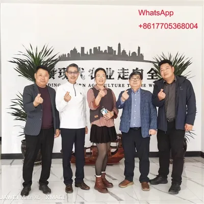 Bienvenidos clientes visitan Jianda Greenhouse Company