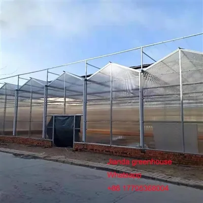 Invernadero de policarbonato de PC para vegetales agro