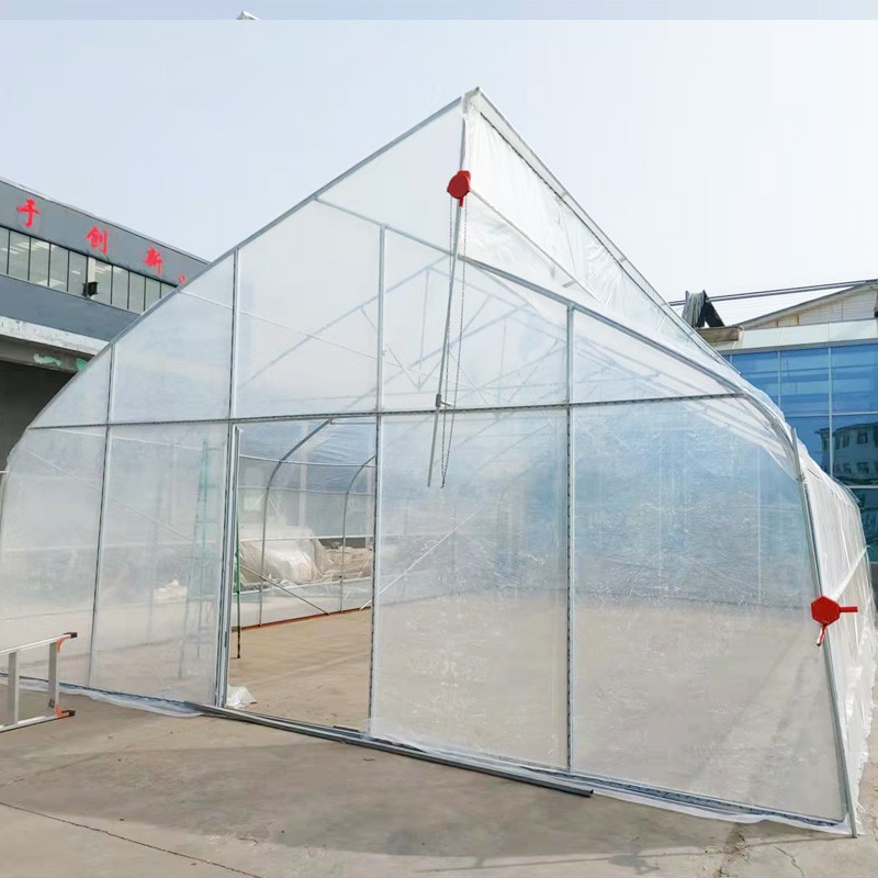 tropical greenhouse tropical greenhouse